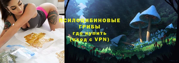 apvp Козловка
