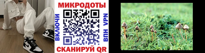 Псилоцибиновые грибы мухоморы  наркотики  Лангепас 