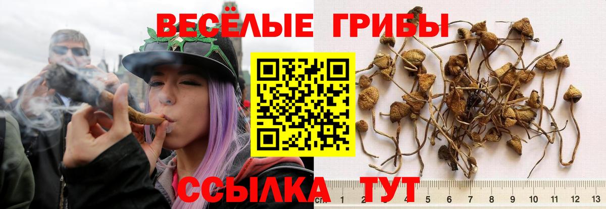 Псилоцибиновые грибы мицелий  купить наркотик  Лангепас  Вход с VPN 